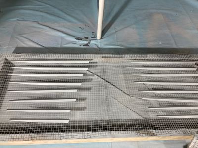 Stiffeners primed.