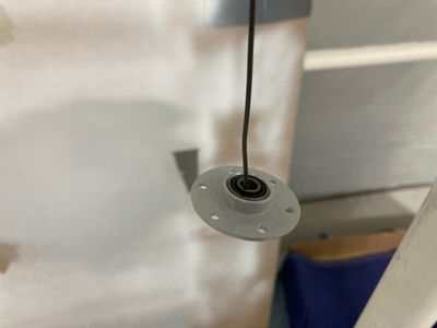 Bearing hanging on the wire to dry.