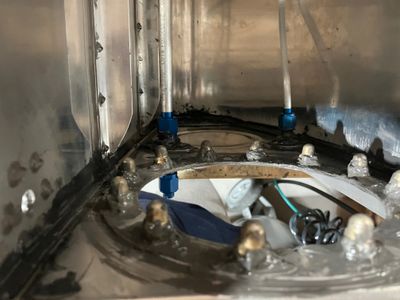 An inside view of the rib.