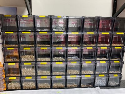 Got many more bins!